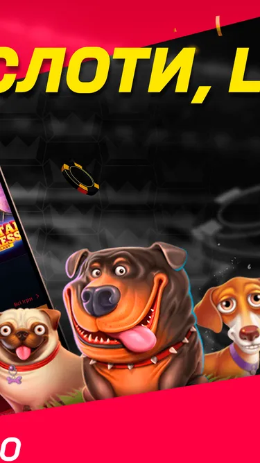 BetKing Screenshot